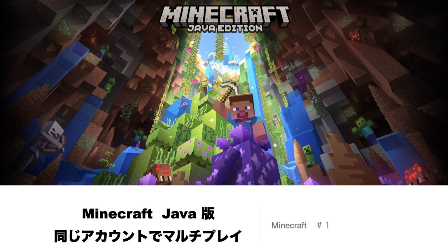Minecraft Java版 同じアカウントでマルチプレイをする おどうぐばこ